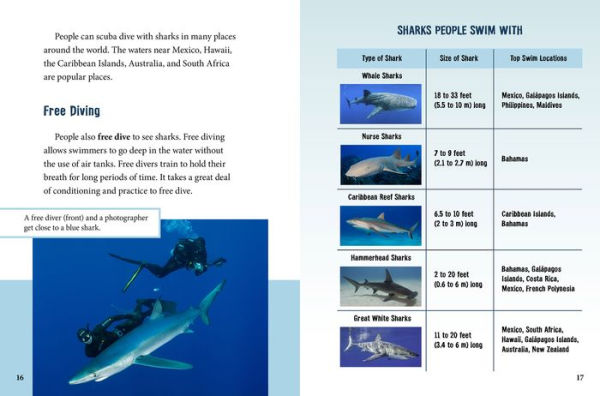 Swimming with Sharks: From Adventurers to Marine Biologists