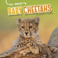 Title: All About Baby Cheetahs, Author: Martha E. H. Rustad