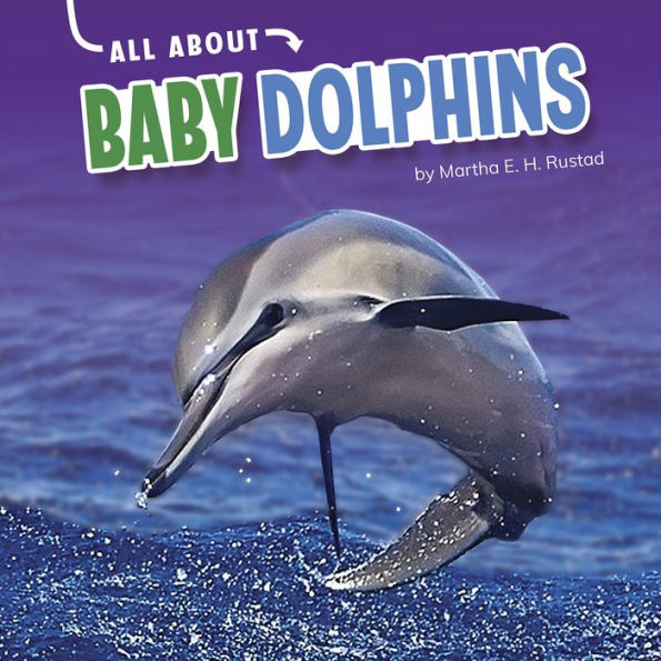 All About Baby Dolphins