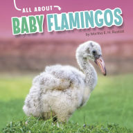 Title: All About Baby Flamingos, Author: Martha E. H. Rustad
