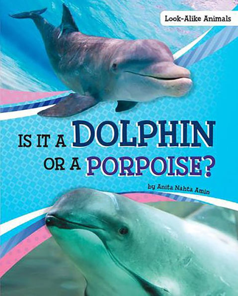 Is It a Dolphin or a Porpoise?