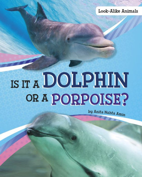 Is It a Dolphin or Porpoise?
