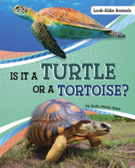 Title: Is It a Turtle or a Tortoise?, Author: Anita Nahta Amin