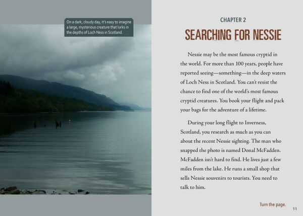 Can You Net the Loch Ness Monster?: An Interactive Monster Hunt