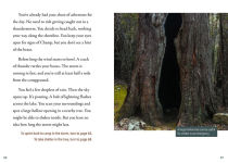 Alternative view 4 of Can You Net the Loch Ness Monster?: An Interactive Monster Hunt