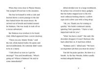Alternative view 5 of Little Robin's Fighting Hood
