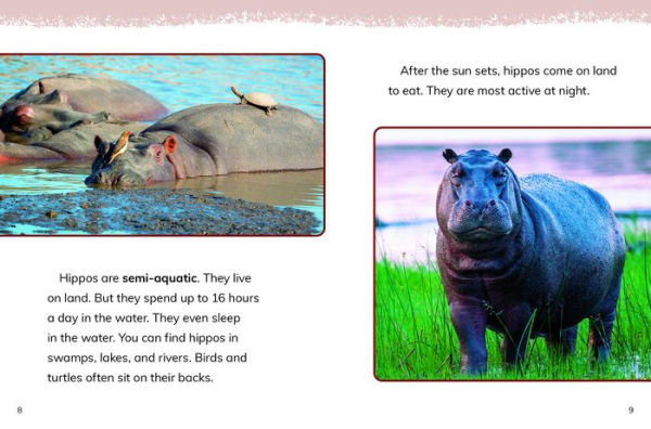 Hippos