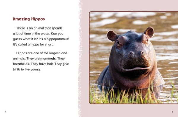 Hippos