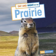 Title: Day and Night on the Prairie, Author: Ellen Labrecque