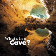 Title: What's in a Cave?, Author: Martha E. H. Rustad