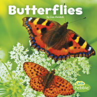 Title: Butterflies, Author: Lisa J. Amstutz