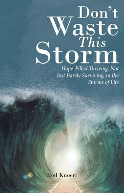 Don't Waste This Storm: Hope-Filled Thriving, Not Just Barely Surviving, the Storms of Life
