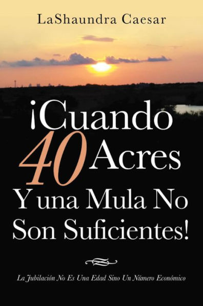 ¡Cuando 40 Acres Y Una Mula No Son Suficientes!: La Jubilación No Es Una Edad Sino Un Número Económico