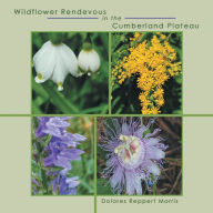 Title: Wildflower Rendevous in the Cumberland Plateau, Author: Dolores Reppert Morris