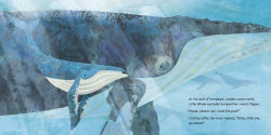 Alternative view 2 of Can You Share, Little Whale?