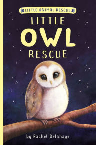 Title: Little Owl Rescue, Author: Rachel Delahaye
