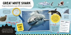 Alternative view 4 of Sharks!: Fun Facts! With Stickers!