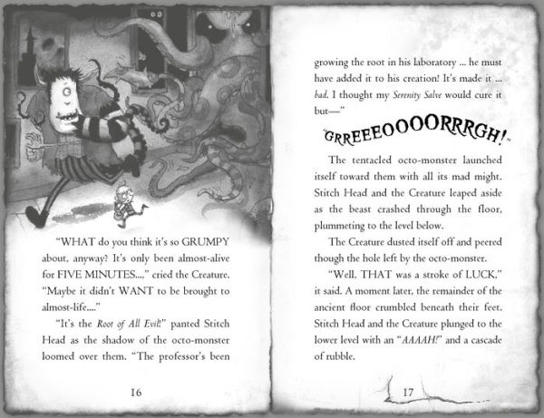 The Pirate's Eye