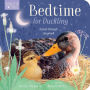 Bedtime for Duckling: A peek-through storybook