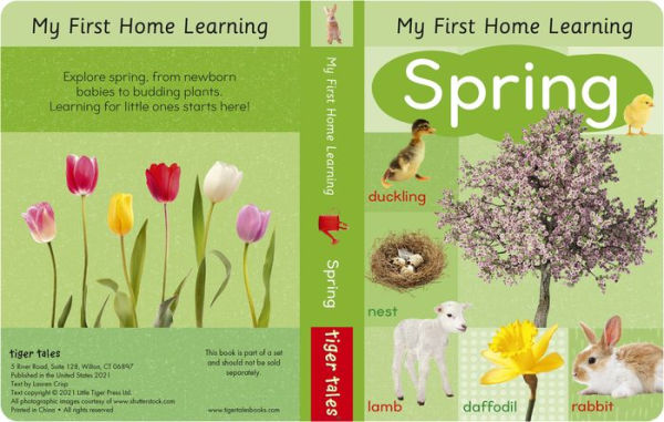 My First Seasons Library 4-Book Boxed Set: Celebrate Spring, Summer, Fall, and Winter!