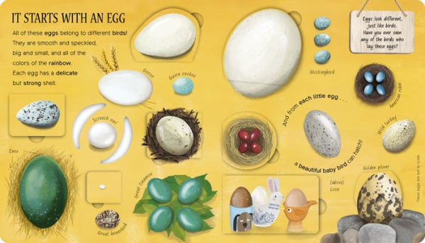 One Little Egg: Exploring Nature for Curious Kids