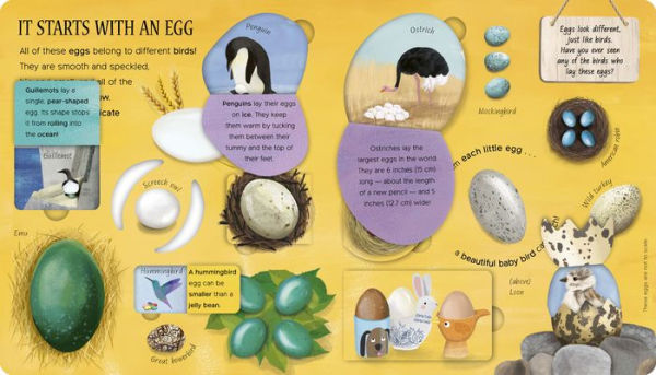 One Little Egg: Exploring Nature for Curious Kids