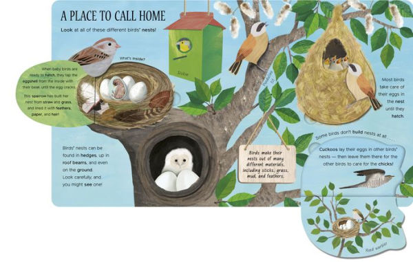 One Little Egg: Exploring Nature for Curious Kids