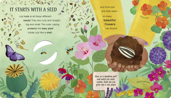 One Little Seed: Exploring Nature for Curious Kids