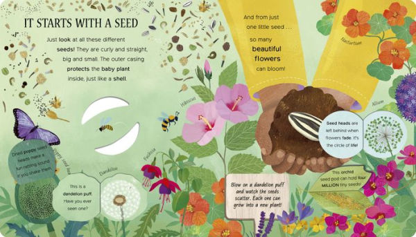 One Little Seed: Exploring Nature for Curious Kids