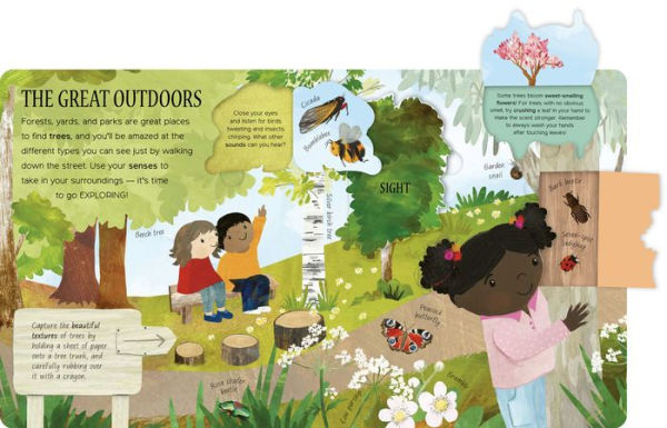 One Little Leaf: Exploring Nature for Curious Kids