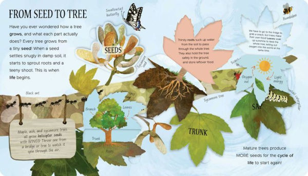 One Little Leaf: Exploring Nature for Curious Kids