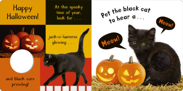 Noisy Halloween: My First Touch and Feel Sound Book