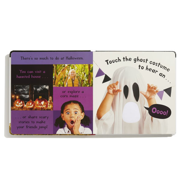 Noisy Halloween: My First Touch and Feel Sound Book
