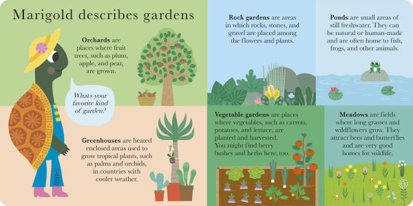 Number Garden: Introducing first numbers through nature