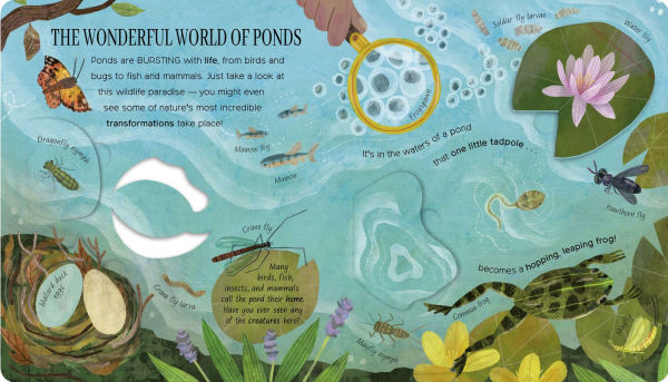 One Little Tadpole: Exploring Nature for Curious Kids