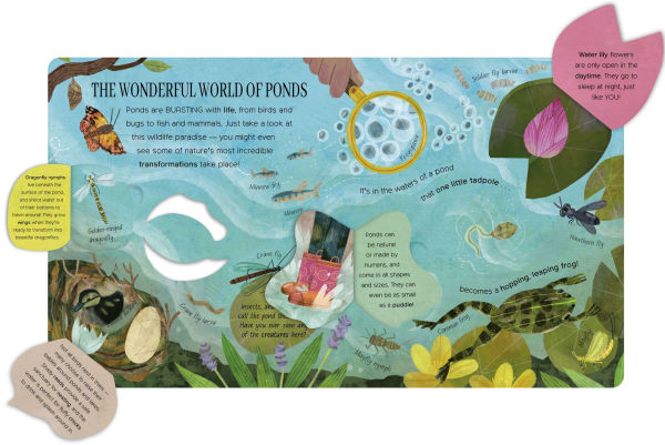 One Little Tadpole: Exploring Nature for Curious Kids