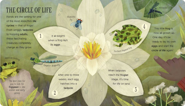 One Little Tadpole: Exploring Nature for Curious Kids