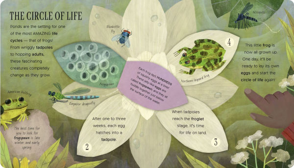 One Little Tadpole: Exploring Nature for Curious Kids