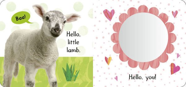 Baby Animals: My First Cloth Book