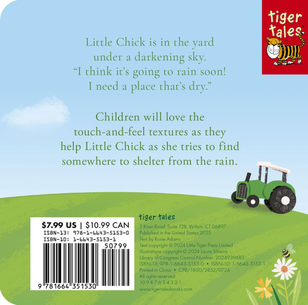 Little Chick: A touch-and-feel book