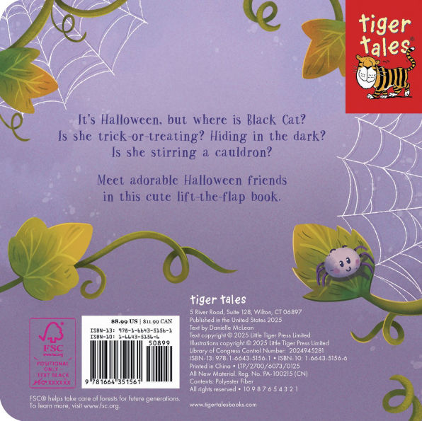 Can You Find the Black Cat?: With flaps to lift!