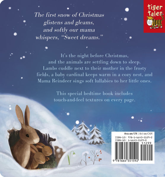 Night Night, Christmas: A touch-and-feel storybook