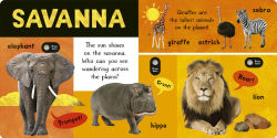 Alternative view 3 of Noisy Animal World: My First Animal Sound Book