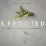 Uprooted: A Gardener Reflects on Beginning Again