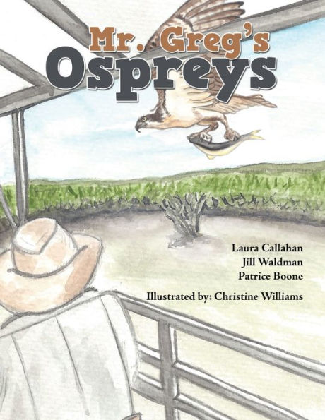 Mr. Greg's Ospreys