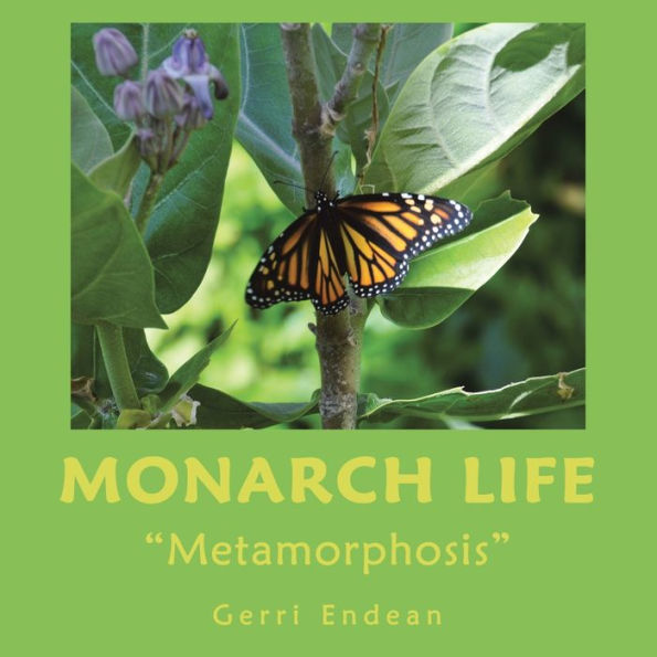 Monarch Life: "Metamorphosis"