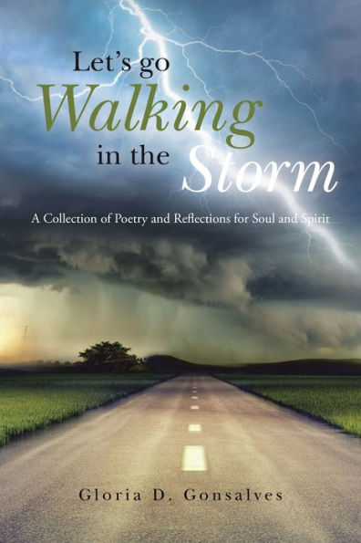 Let's Go Walking in the Storm: A Collection of Poetry and Reflections for Soul and Spirit