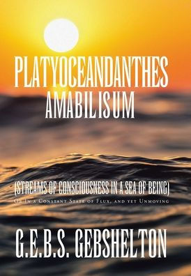 Platyoceandanthes amabilisum (Streams of Consciousness a Sea Being): Or Constant State Flux, and yet Unmoving