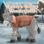 Walter's Winter Wonderland: A Walter the Orphaned Donkey Series
