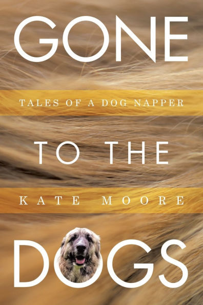 Gone To The Dogs: Tales of a Dog Napper